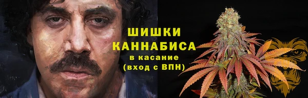 мяу мяу мука Гусь-Хрустальный