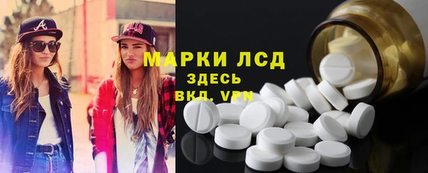 круглые Гусев