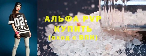 стаф Дмитровск