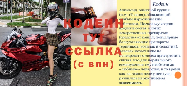 мяу мяу мука Гусь-Хрустальный