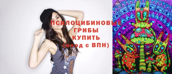 прущие крисы Гусиноозёрск