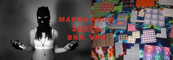 мяу мяу мука Гусь-Хрустальный