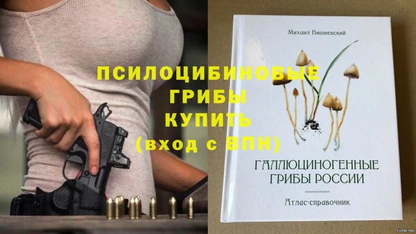 трава Дмитриев